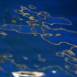 dailyPhoto6